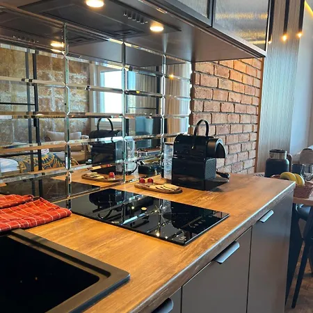 Loft Isabella & Free Parking 格但斯克