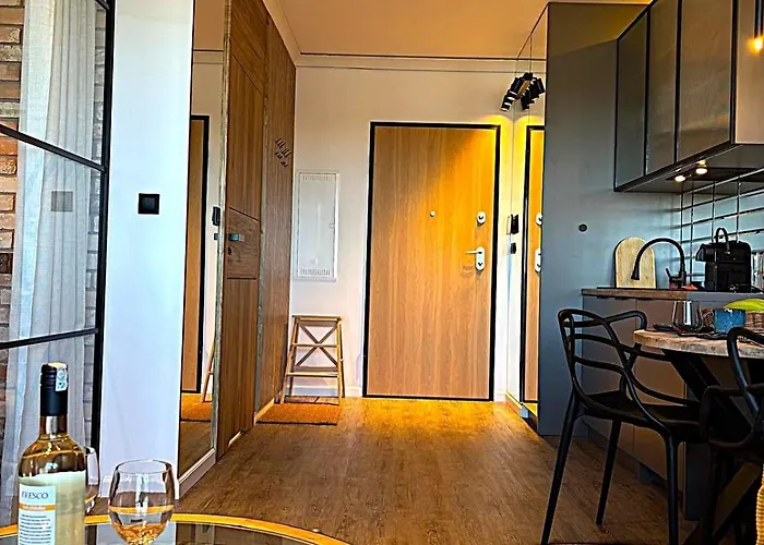 Loft Isabella & Free Parking 公寓 格但斯克